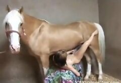 หนังโป๊ฝรั่งเก่า เย็ดกับม้าแข่งควยยาวไปอมให้แล้วชักว่าว สุดท้ายเอามายัดหีสุดเสียว