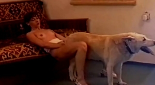 หนังโป๊ฝรั่ง สาวเงี่ยนหีของขาดให้ชักว่าให้มาจนควยแข็งเอากระดอมายัดหีสุดฟิน