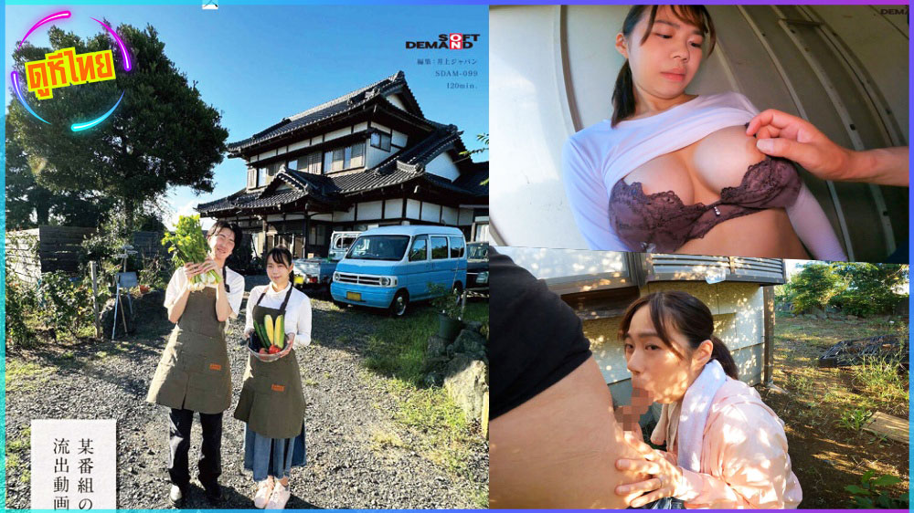 SDAM-099 แนวสารคดี ตามติดชีวิตคู่รัก ที่ย้ายไปอยู่ต่างจังหวัดชานเมือง